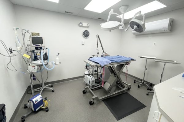 Surgical Suite